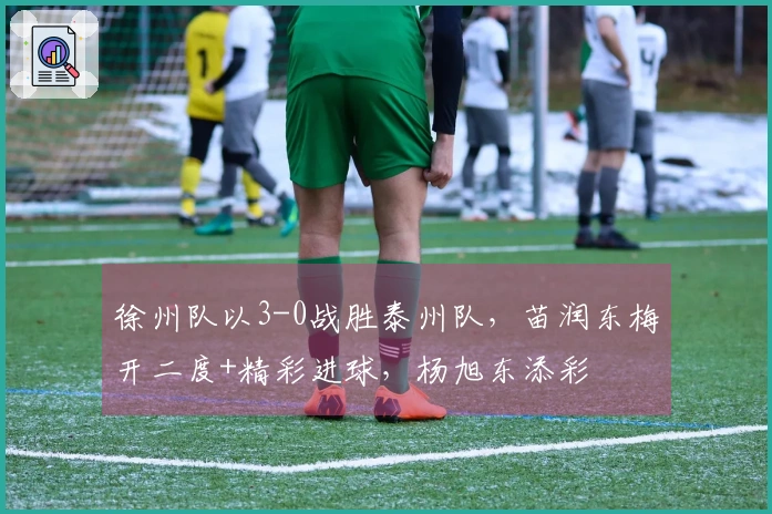 徐州队以3-0战胜泰州队，苗润东梅开二度+精彩进球，杨旭东添彩
