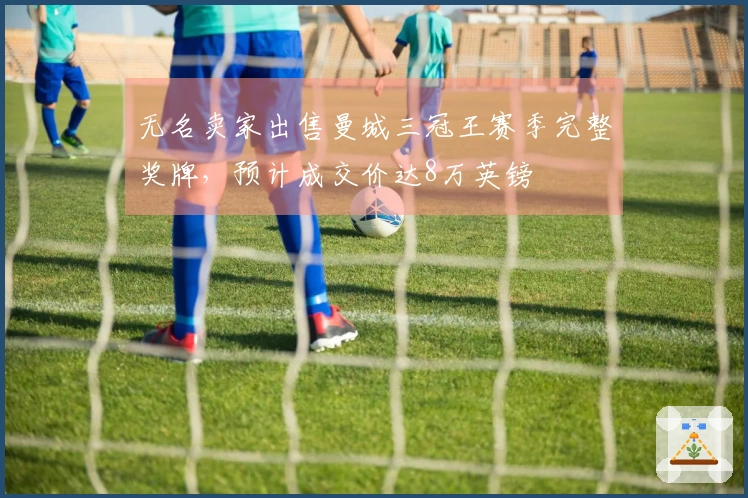 无名卖家出售曼城三冠王赛季完整奖牌，预计成交价达8万英镑
