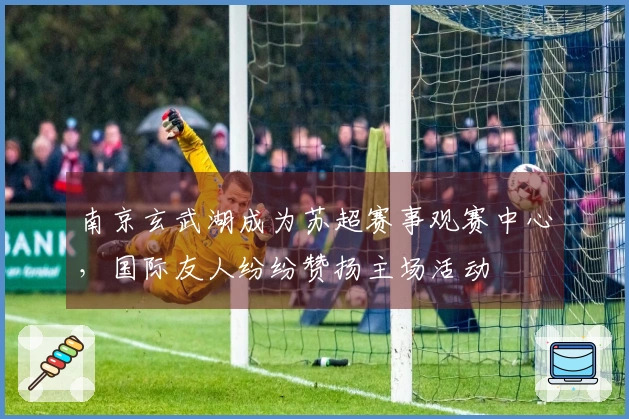 南京玄武湖成为苏超赛事观赛中心，国际友人纷纷赞扬主场活动