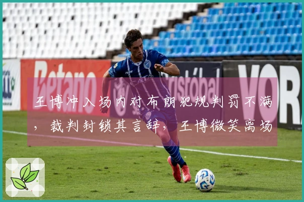 王博冲入场内对布朗犯规判罚不满，裁判封锁其言辞，王博微笑离场